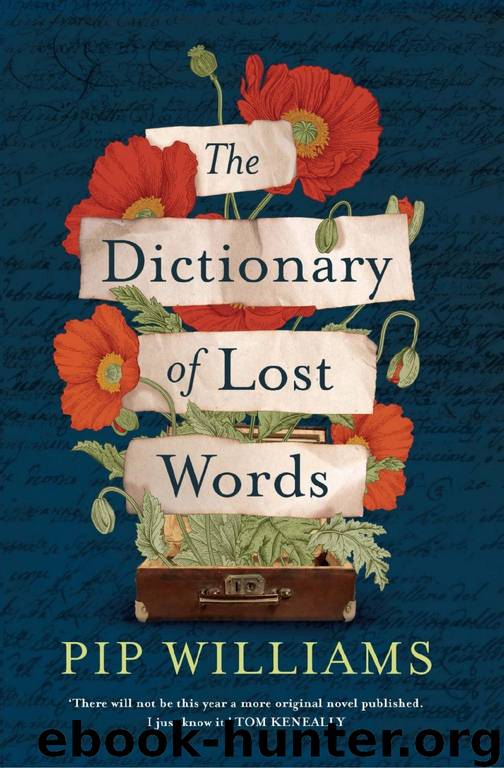 The Dictionary Of Lost Words
